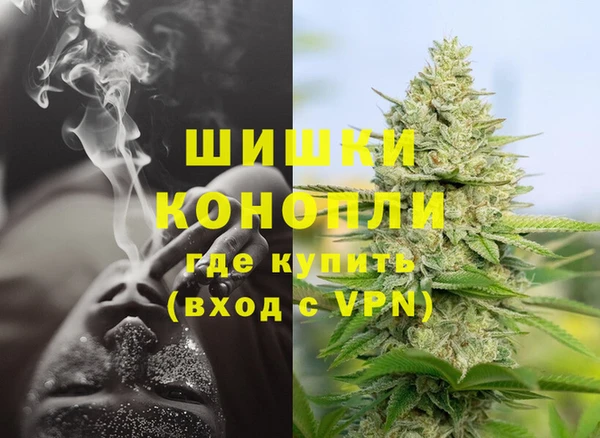 крисы Балахна