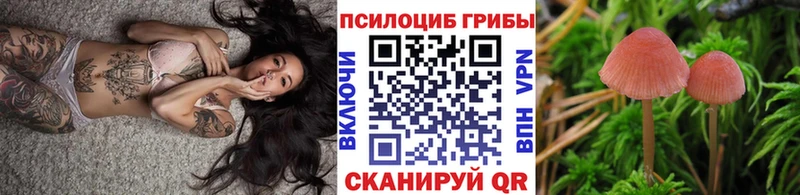Купить где  Переславль-Залесский  Галлюциногенные грибы Magic Shrooms 